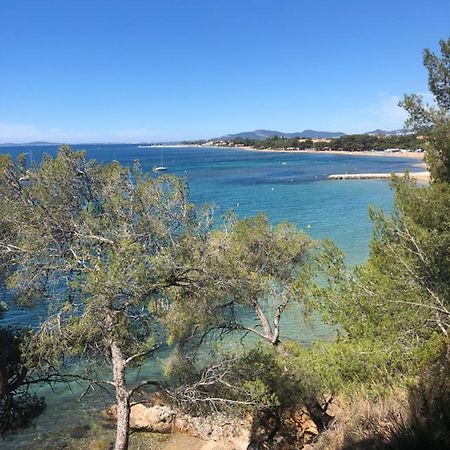 Studio L'Argentiere Plage La Londe-les-Maures Dış mekan fotoğraf